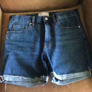 Everlane Blue Jean Shorts